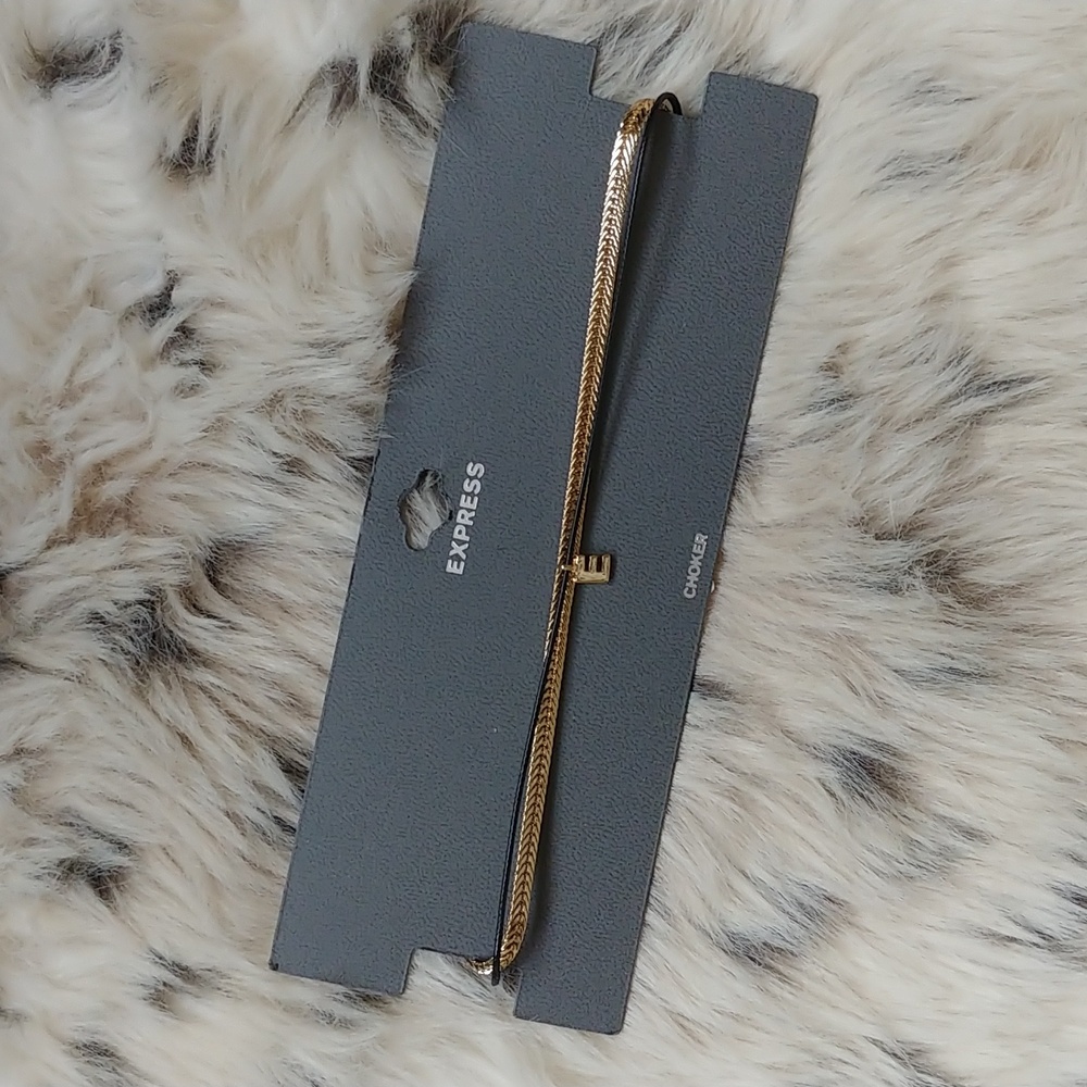 EXPRESS E Choker